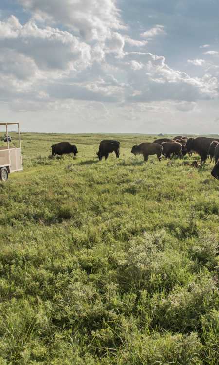 Maxwell Wildlife Refuge