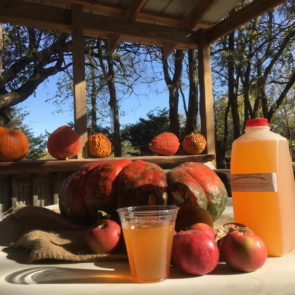 Meadowlark Farm Orchard & Cidery - Rose Hill