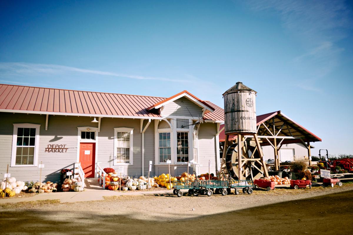 Depot Market Pumpkin Patches