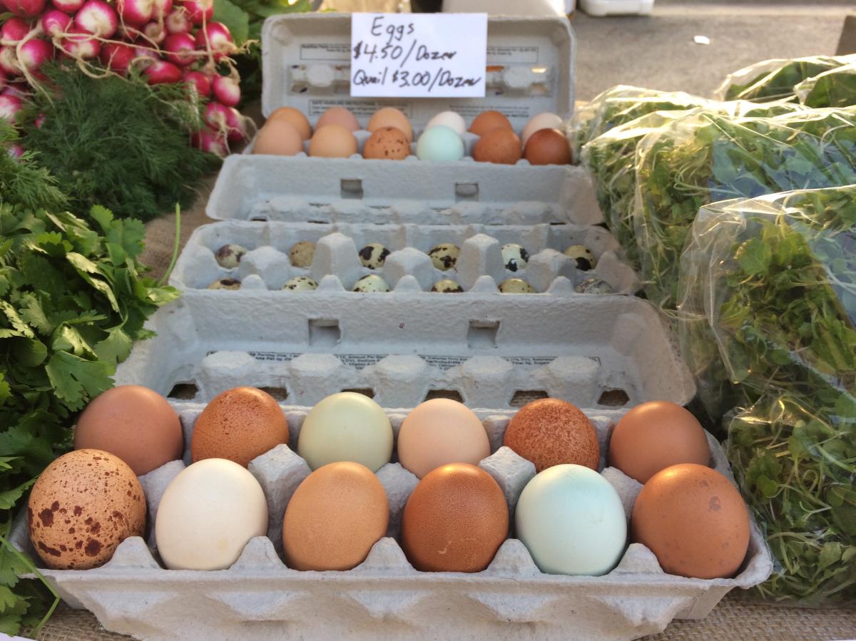 Farmers Market - Eggs