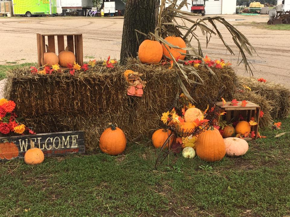 Pumpkin at Klausmeyer Pumpkin Patch