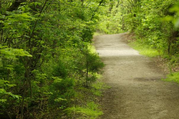 A wooded trail in southeast Kansas