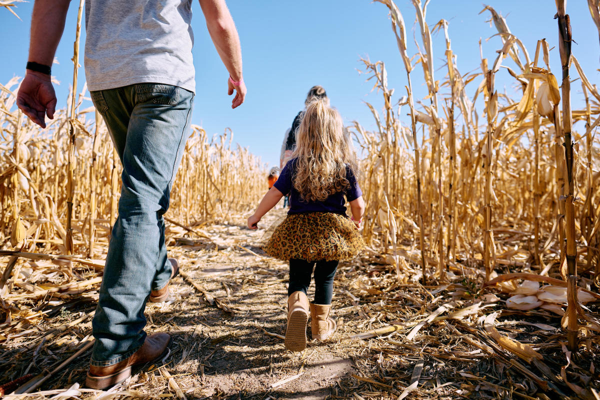 Corn Maze at A&H Farms